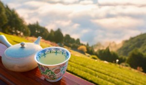 Japanese Tea Documentary Gochisochaji ごちそう茶事 (5)